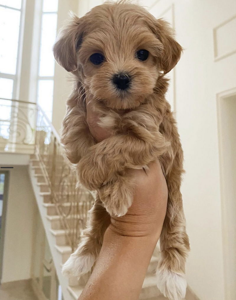 Newborn10