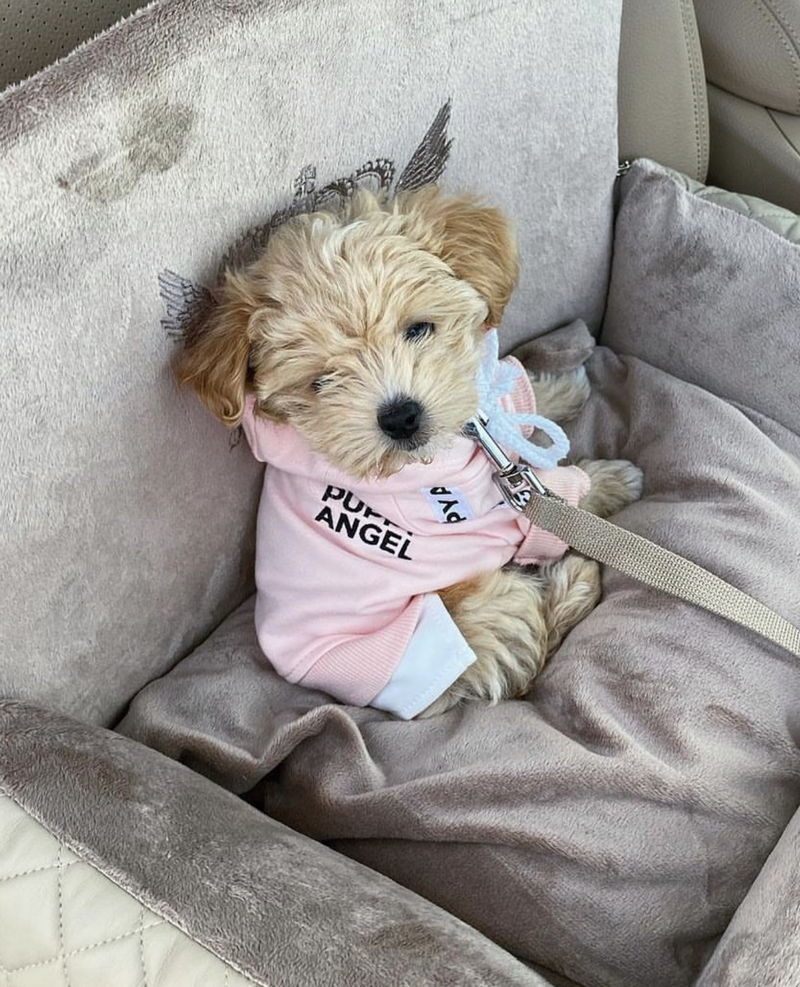 Newborn15