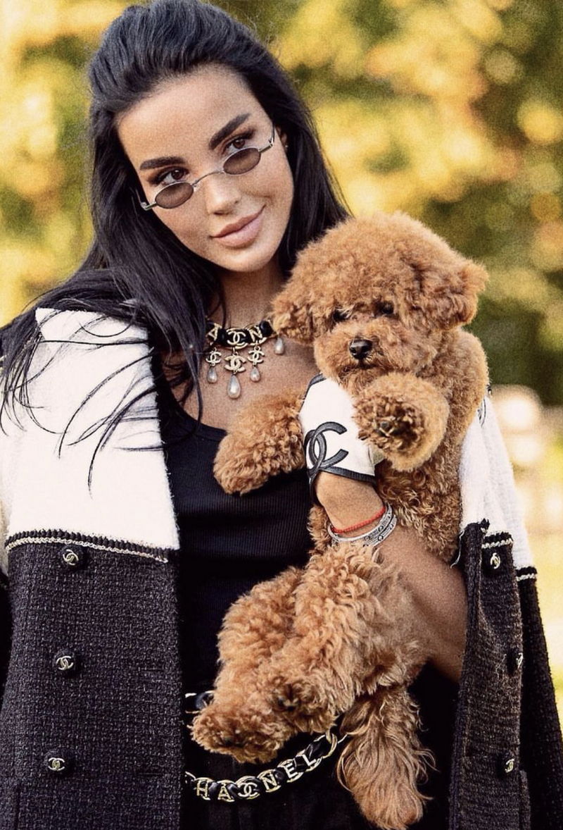 Maltipoo16