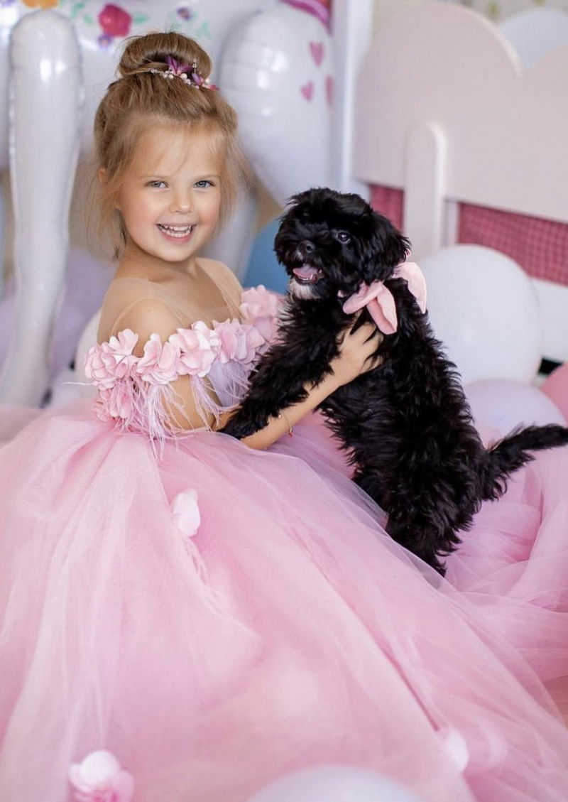 Yorkipoo07