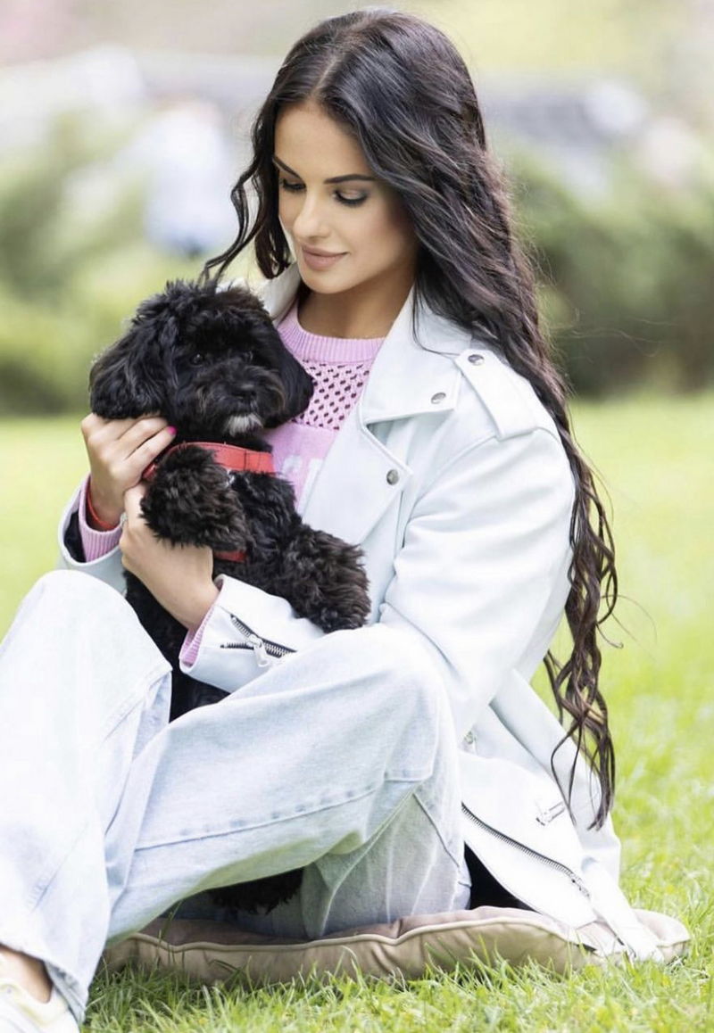 Yorkipoo08